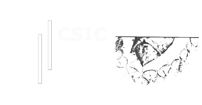 Publicaciones CSIC