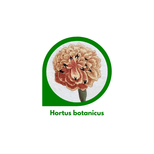 Hortus botanicus