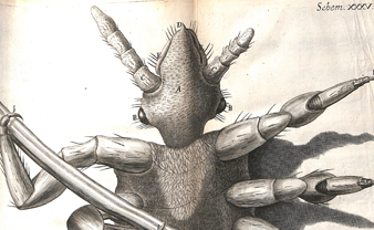 Imagen ilustrativa del texto