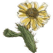 Americana espinosa